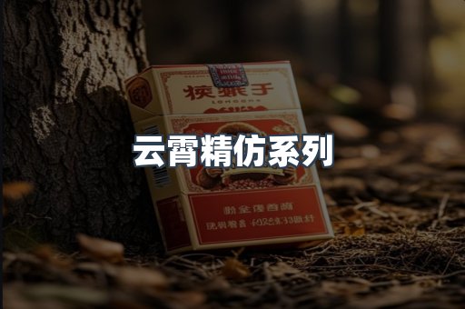 云霄精仿系列